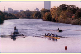crew team with boston skyline in the background