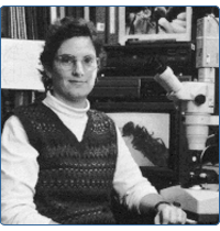 sara lewis